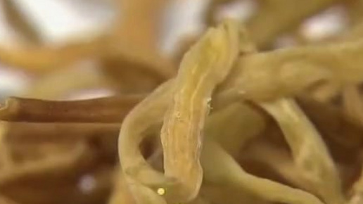 【四点诀窍教您巧辨硫磺熏制过的食材】外面长相好,里面变了“心”,硫磺熏蒸过的食物究竟应该如